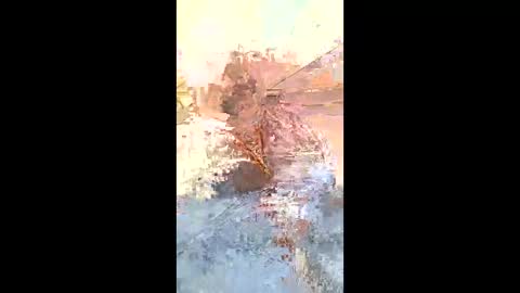 rob18997 online show from 02-07-26, 09:57