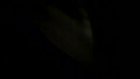 Johnny online show from 05-31-26, 06:09