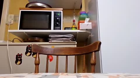 robke1966 online show from 09-21-25, 06:26