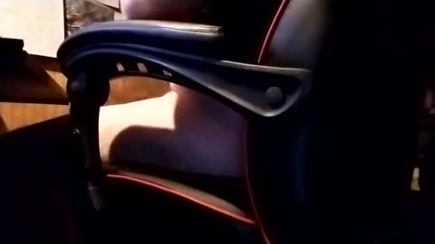 Robo Nuts online show from 11-20-25, 06:35