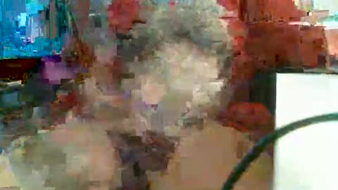 Rocco  aka DaddyRoc online show from 02-11-26, 11:48