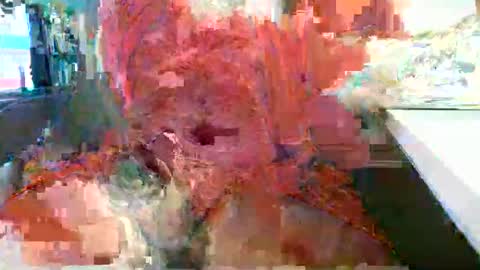 Rocco  aka DaddyRoc online show from 02-18-26, 12:12