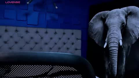 rocco_santos online show from 09-14-25, 02:00