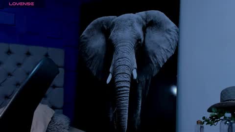 rocco_santos online show from 09-19-25, 07:10