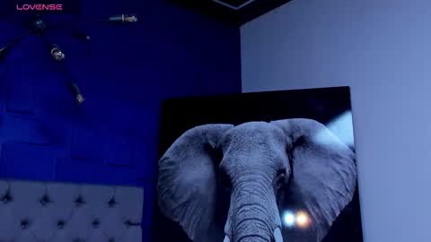 rocco_santos online show from 09-27-25, 06:07