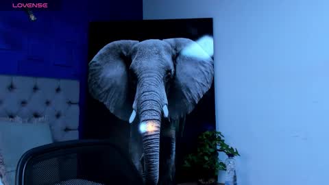 rocco_santos online show from 09-28-25, 03:12