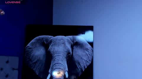 rocco_santos online show from 10-04-25, 01:14