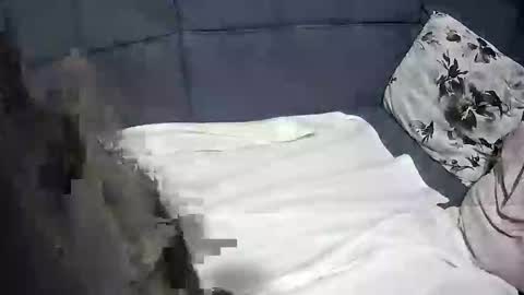 roccosan online show from 10-04-25, 06:17