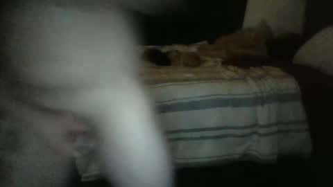 rockharder000 online show from 12-23-24, 11:25