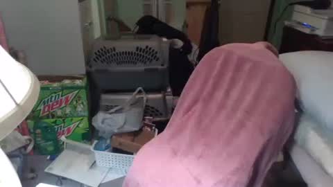 rocky082288 online show from 11-25-25, 10:26