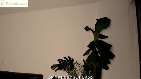 Snapshot of roldansvalery chatting on 02-05-25, 02:51 Valery Roldans online show from 02-05-25, 02:51