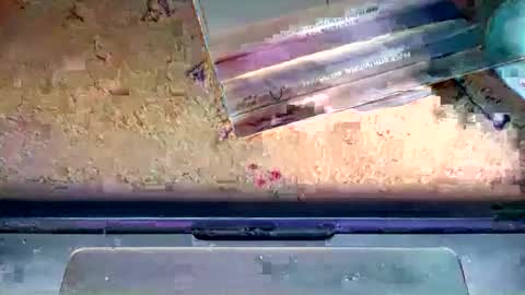 romeo9000x online show from 01-06-26, 02:26