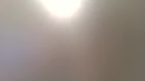 Snapshot of romeomustcum2016 chatting on 12-16-25, 10:31 Trinked online show from 12-16-25, 10:31
