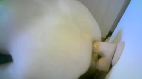 Snapshot of romson998181 chatting on 11-01-25, 08:27 romson998181 online show from 11-01-25, 08:27