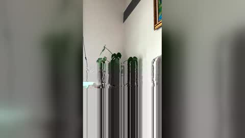 Snapshot of ronihall chatting on 03-29-26, 06:08 Roni Hall online show from 03-29-26, 06:08