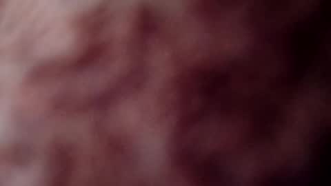 rose12161216 online show from 11-03-25, 03:13