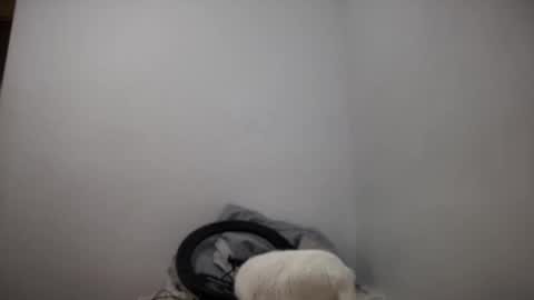 Snapshot of rosea_lune chatting on 09-16-25, 04:41 rosea_lune online show from 09-16-25, 04:41