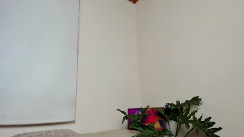 Snapshot of roselinedior chatting on 12-22-24, 04:17 Lyla OF roselinedior online show from 12-22-24, 04:17