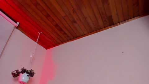 Snapshot of roselinedior chatting on 01-20-25, 07:04 Lyla OF roselinedior online show from 01-20-25, 07:04