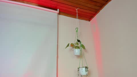 Snapshot of roselinedior chatting on 02-04-25, 02:21 Lyla OF roselinedior online show from 02-04-25, 02:21