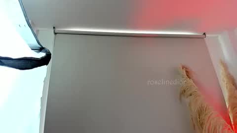 Snapshot of roselinedior chatting on 09-11-25, 02:39 Lyla OF roselinedior online show from 09-11-25, 02:39