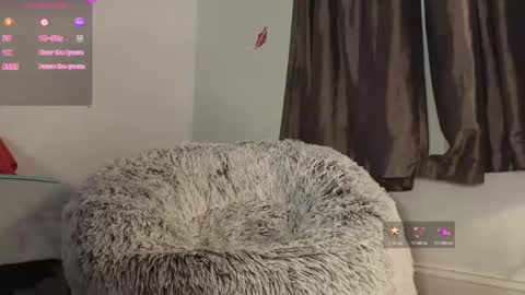 Rose   online show from 04-13-26, 10:48