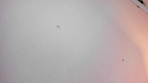 rosie_jhons online show from 02-02-25, 03:21