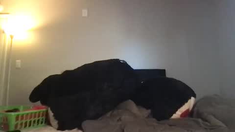 Rosie online show from 03-03-26, 10:37