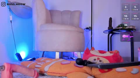 ross_meow online show from 03-06-26, 11:23