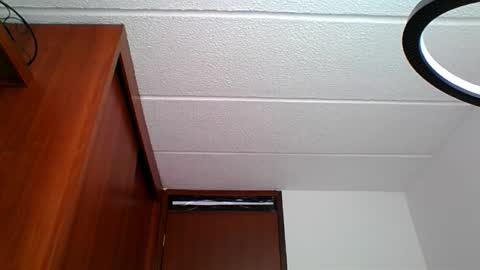 Snapshot of rossanalionheart chatting on 03-26-26, 01:06 Rossana online show from 03-26-26, 01:06