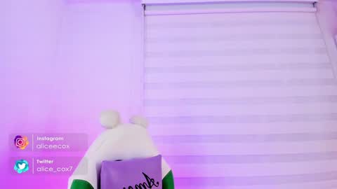   online show from 01-29-25, 11:20