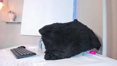 roxy_stone1 online show from 06-11-26, 12:32
