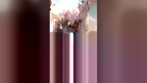 rp131313 online show from 01-05-26, 06:11