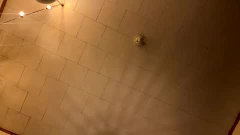 rp131313 online show from 01-10-26, 04:25