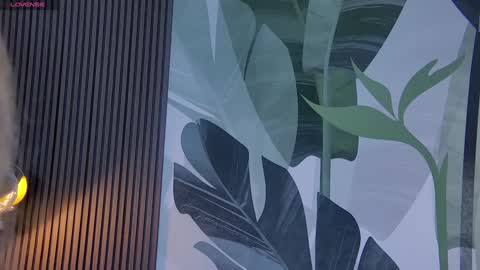 Snapshot of rubyvalen chatting on 12-28-24, 01:29 Ruby online show from 12-28-24, 01:29