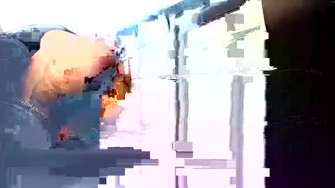 Snapshot of rushover63 chatting on 03-03-25, 10:49 rushover63 online show from 03-03-25, 10:49