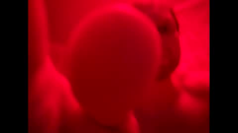 Snapshot of russianbear1917 chatting on 10-15-25, 09:37 Mike online show from 10-15-25, 09:37