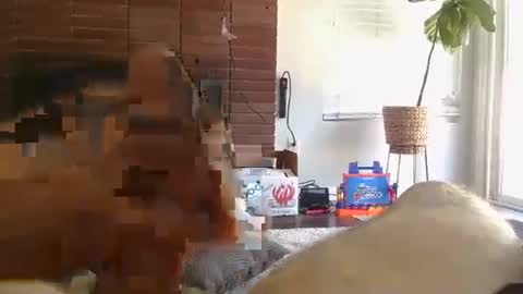 Snapshot of ryanbobby88 chatting on 09-13-25, 08:08 ryanbobby88 online show from 09-13-25, 08:08