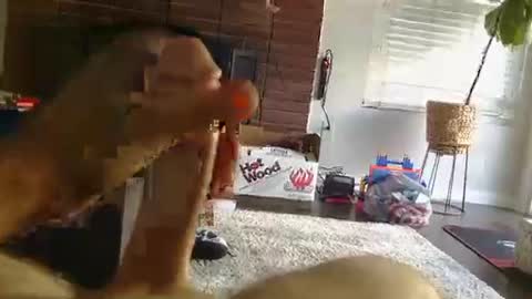 Snapshot of ryanbobby88 chatting on 09-25-25, 12:25 ryanbobby88 online show from 09-25-25, 12:25