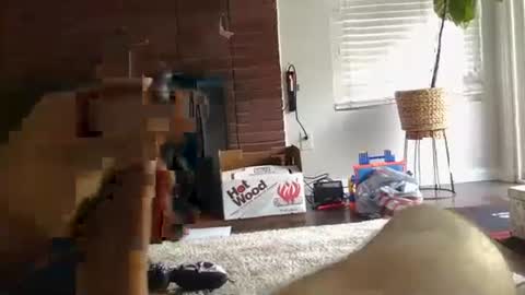 Snapshot of ryanbobby88 chatting on 09-27-25, 12:48 ryanbobby88 online show from 09-27-25, 12:48