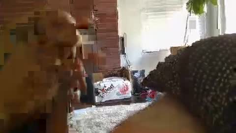 Snapshot of ryanbobby88 chatting on 09-28-25, 11:21 ryanbobby88 online show from 09-28-25, 11:21