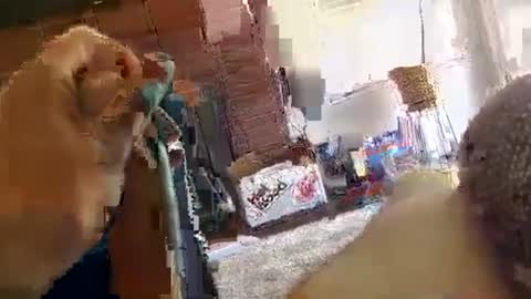 Snapshot of ryanbobby88 chatting on 09-29-25, 09:08 ryanbobby88 online show from 09-29-25, 09:08