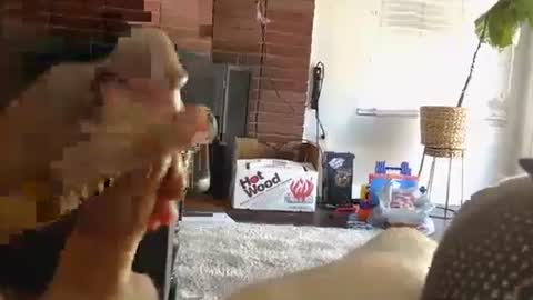 Snapshot of ryanbobby88 chatting on 10-01-25, 09:43 ryanbobby88 online show from 10-01-25, 09:43