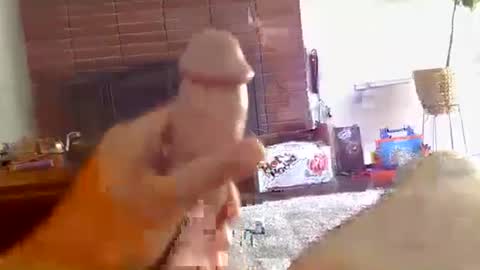 Snapshot of ryanbobby88 chatting on 10-16-25, 09:27 ryanbobby88 online show from 10-16-25, 09:27