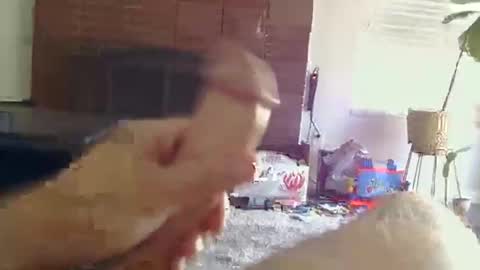 Snapshot of ryanbobby88 chatting on 10-31-25, 09:16 ryanbobby88 online show from 10-31-25, 09:16