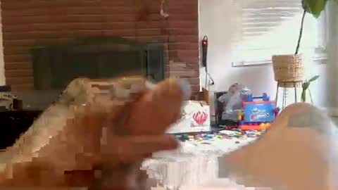 Snapshot of ryanbobby88 chatting on 11-01-25, 02:19 ryanbobby88 online show from 11-01-25, 02:19