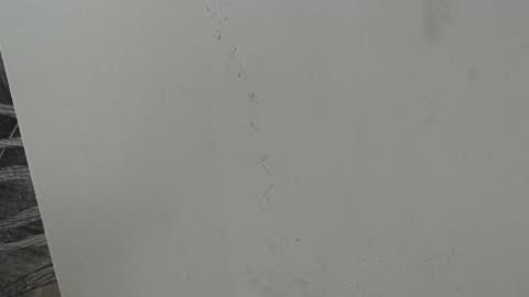 rylierouse online show from 10-25-25, 05:51