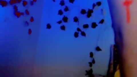 Snapshot of sabrinaexpositoxx chatting on 03-11-25, 12:39 SABRI online show from 03-11-25, 12:39