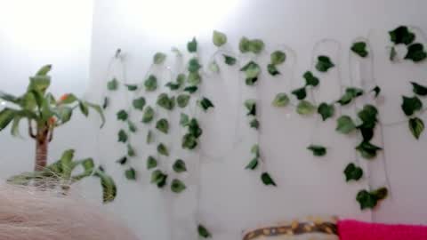 Snapshot of sabrinaexpositoxx chatting on 09-25-25, 05:11 SABRI online show from 09-25-25, 05:11