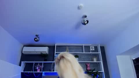 Snapshot of sabrinasharm chatting on 03-29-26, 05:29 Sabrina online show from 03-29-26, 05:29